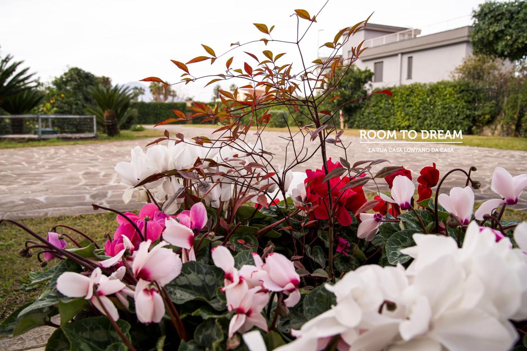 Room To Dream San Valentino Torio Bagian luar foto